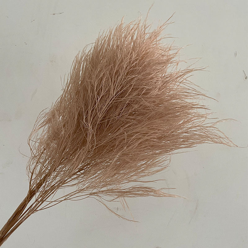Tiki Fern Brown