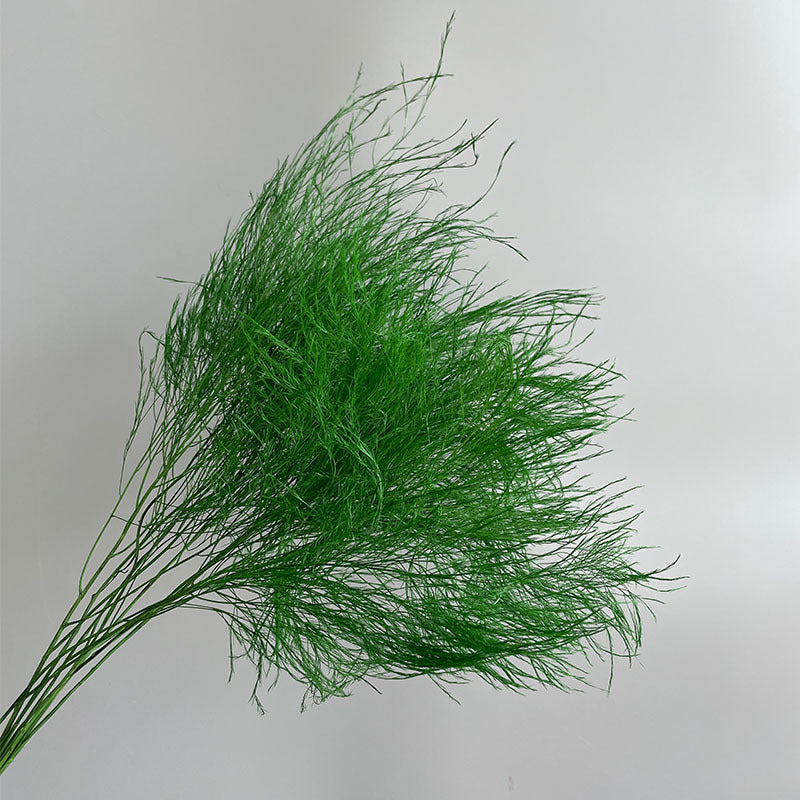 Tiki Fern Green