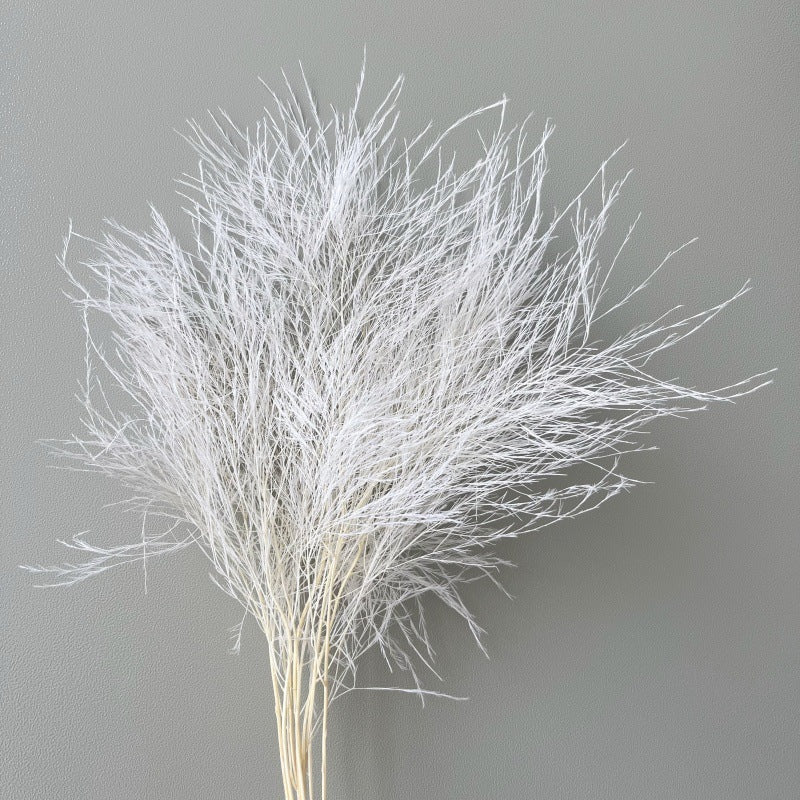 Tiki Fern White