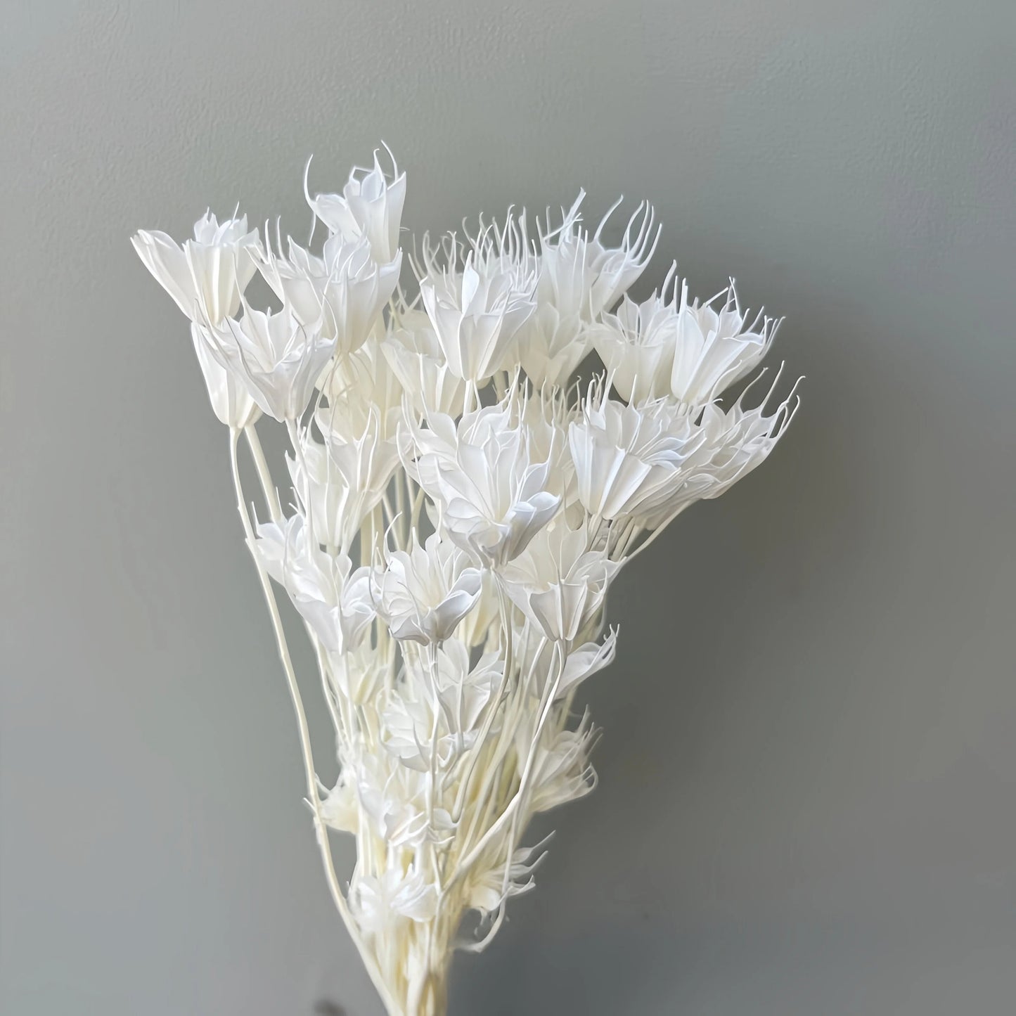 Nigella White