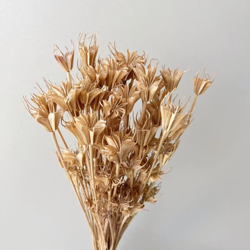 Nigella Natural