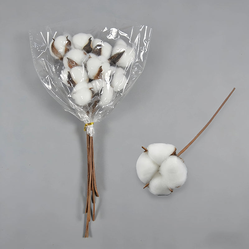 Cotton White