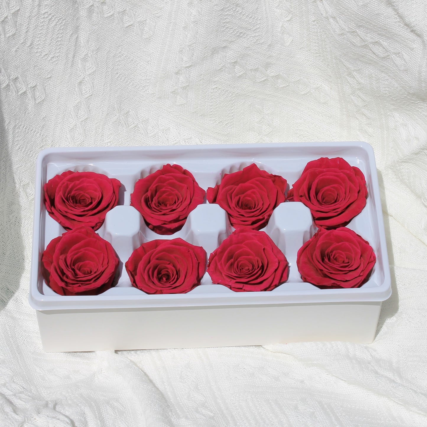 Preserved Rose Red