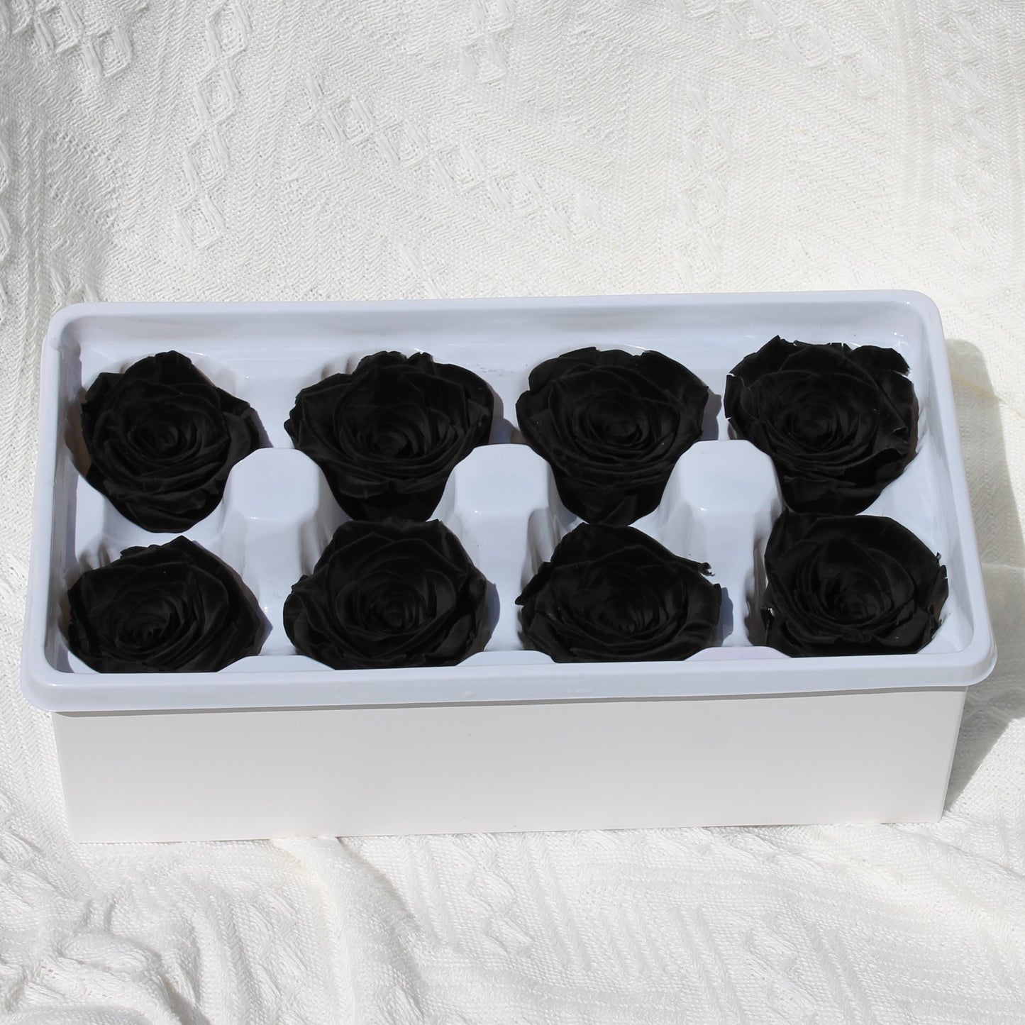 Preserved Rose Black