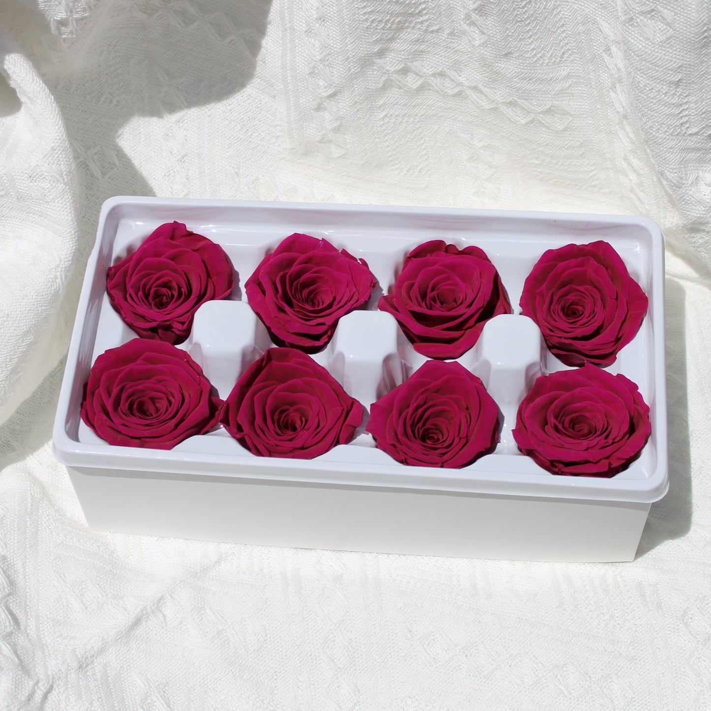 Preserved Rose Burgundy