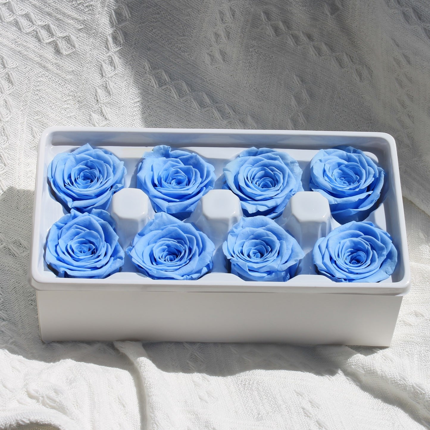 Preserved Roses Blue