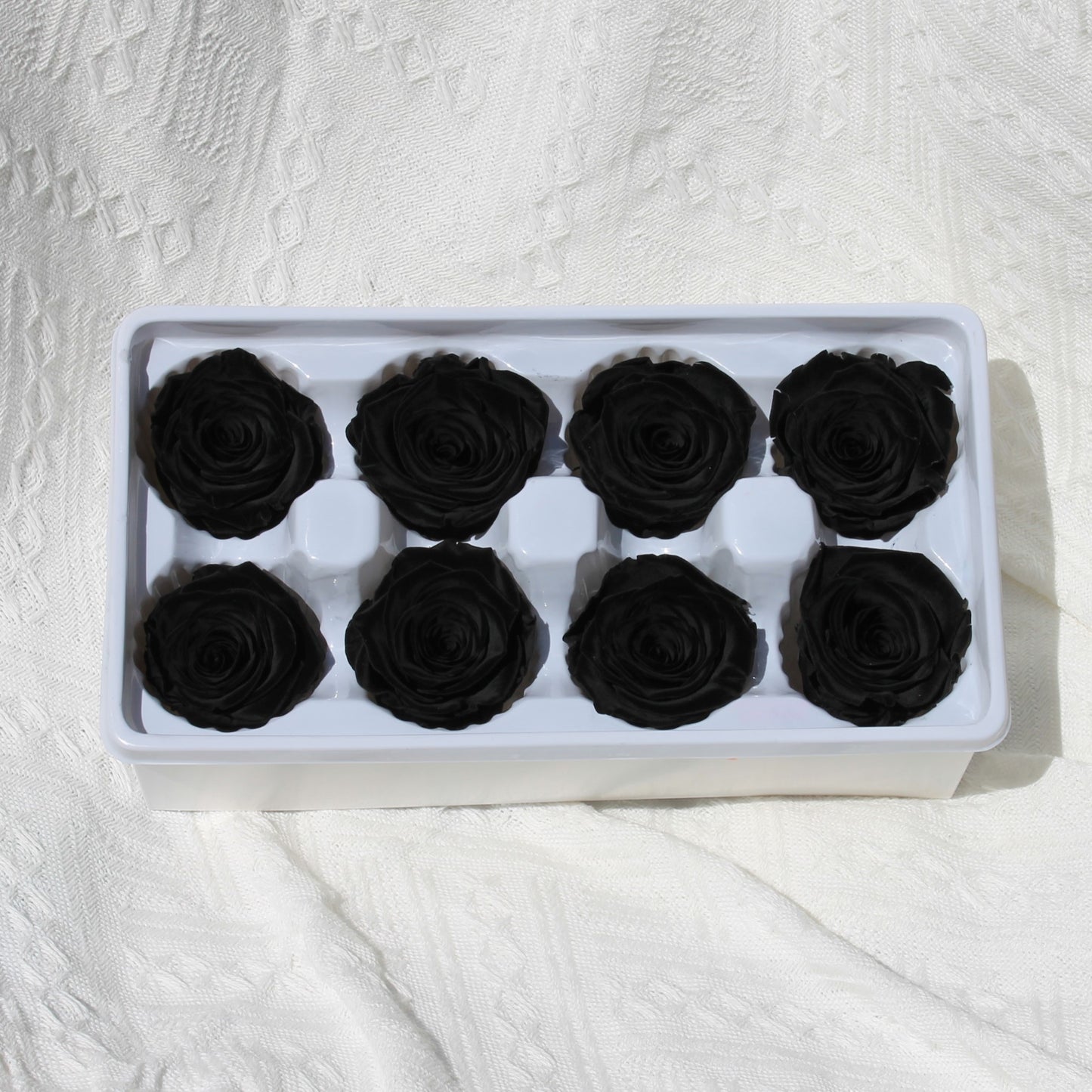 Preserved Rose Black