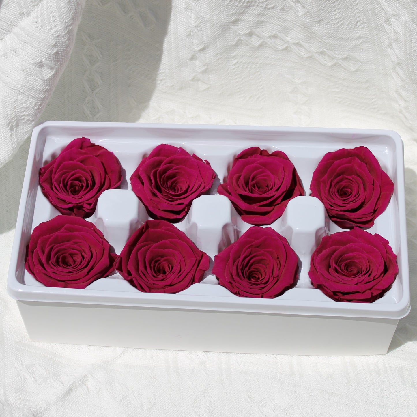 Preserved Rose Burgundy