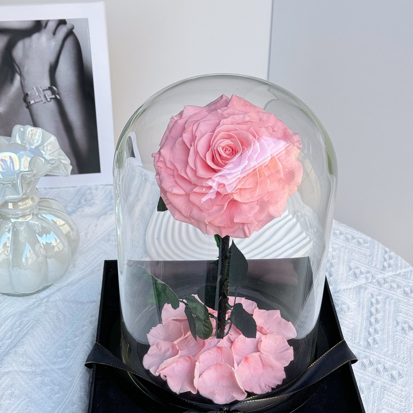 Super Large Rose Dome Pink Gift