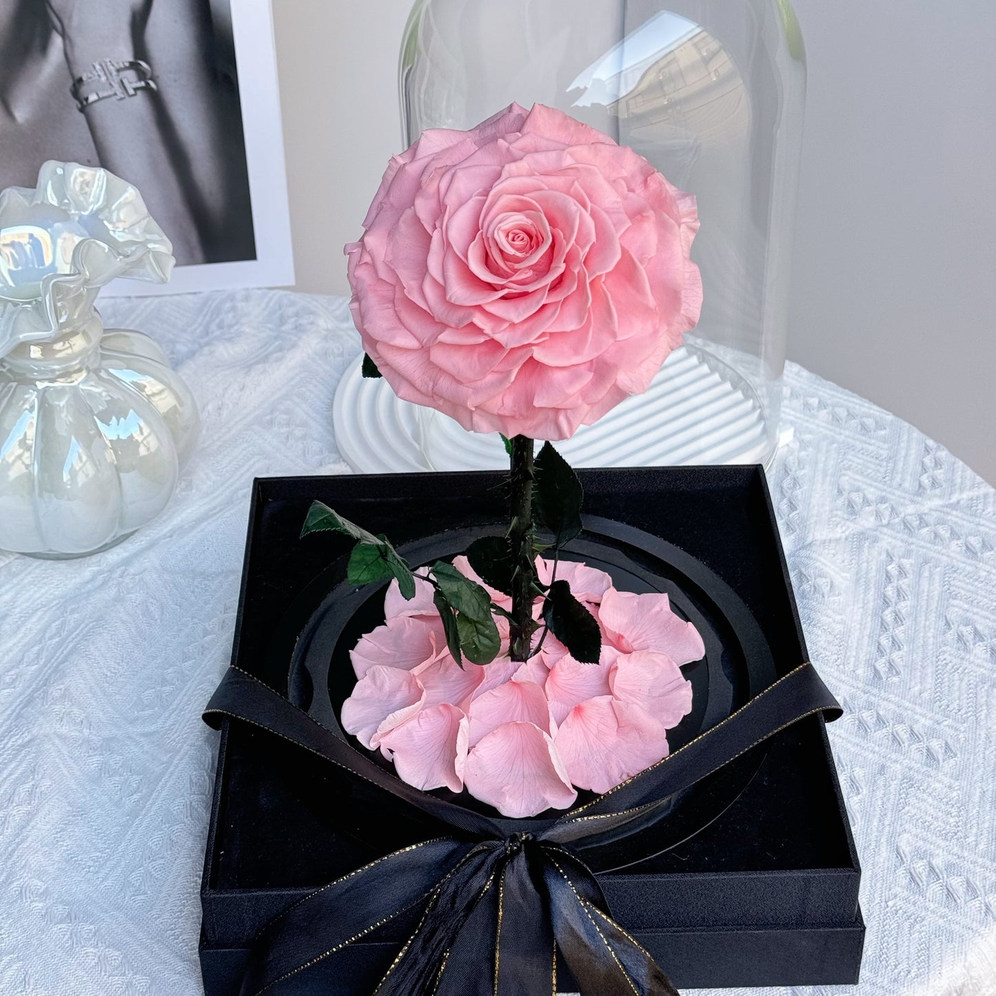 Super Large Rose Dome Pink Gift