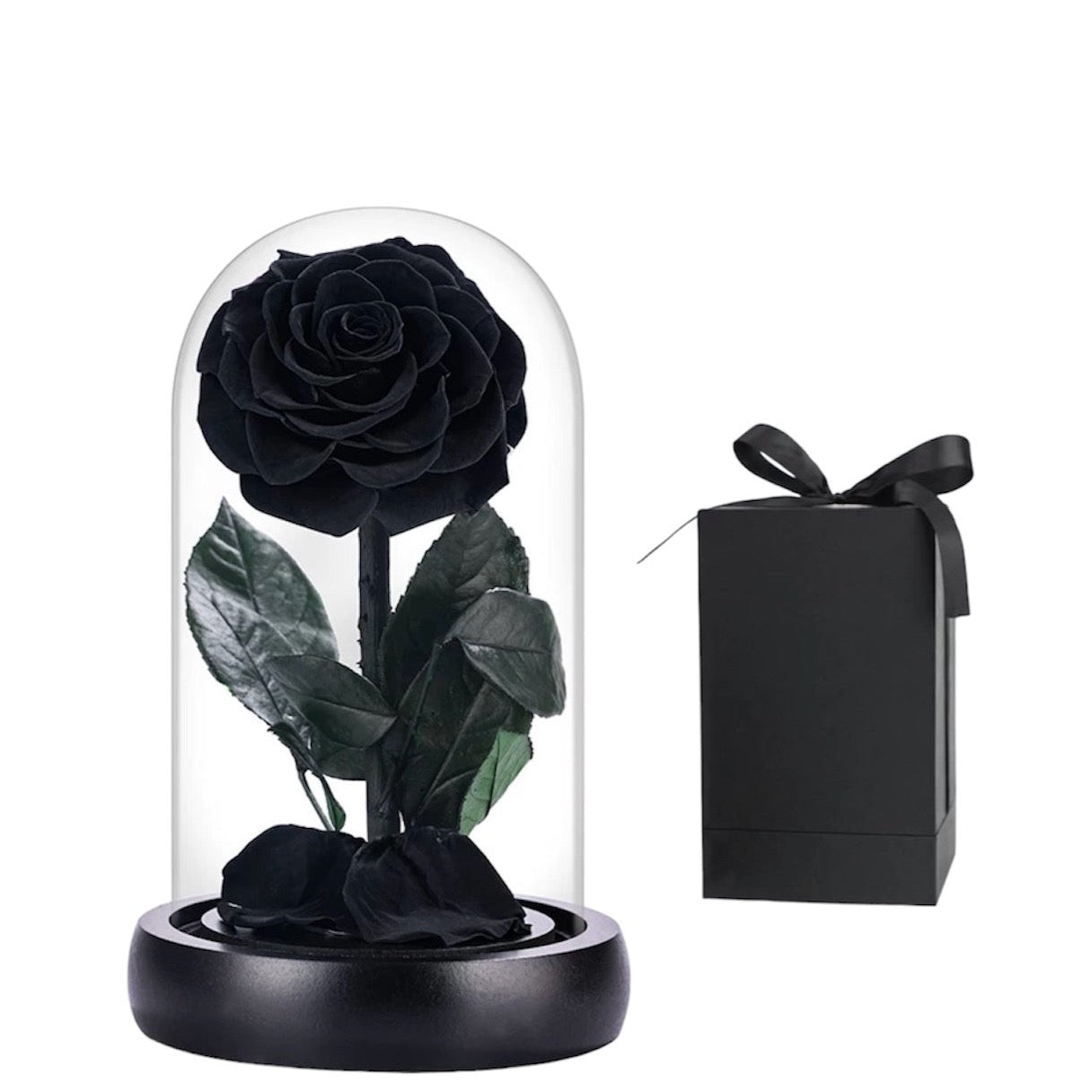 Small Rosé Dome Black Gift