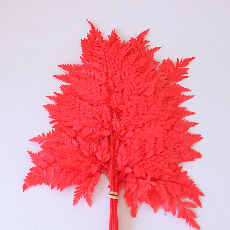 Preserved Leather Fern Small