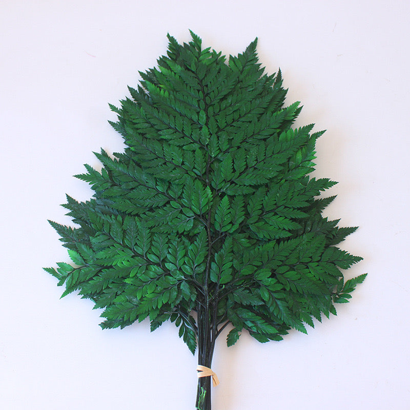 Preserved Leather Fern Small