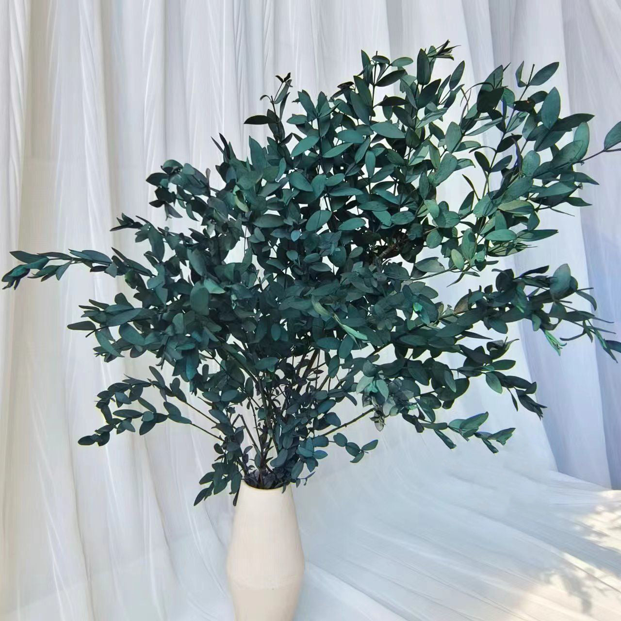 Preserved Seeded Gum