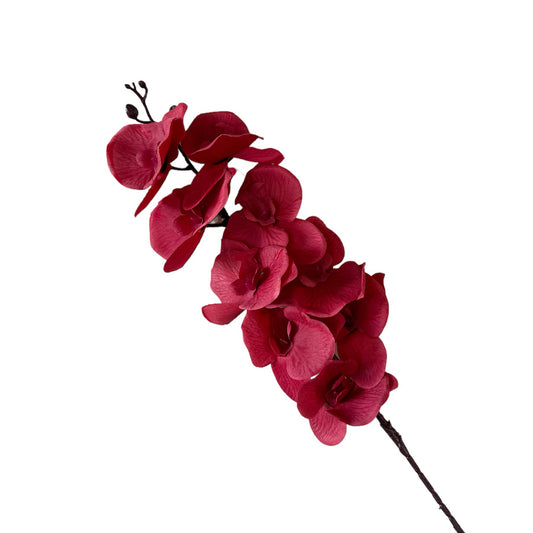 Artificial Flower Phalaenopsis Orchid Maroon