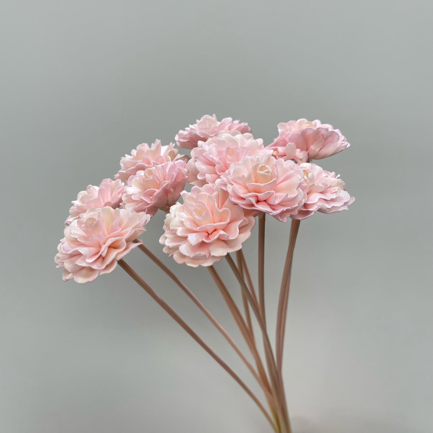 Sola Marigold Flower Pink