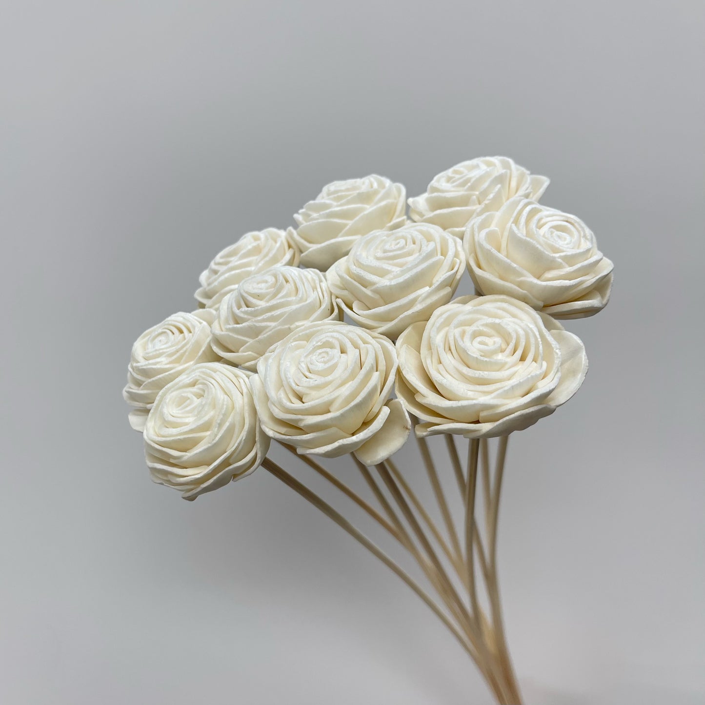Sola Flower Rose White