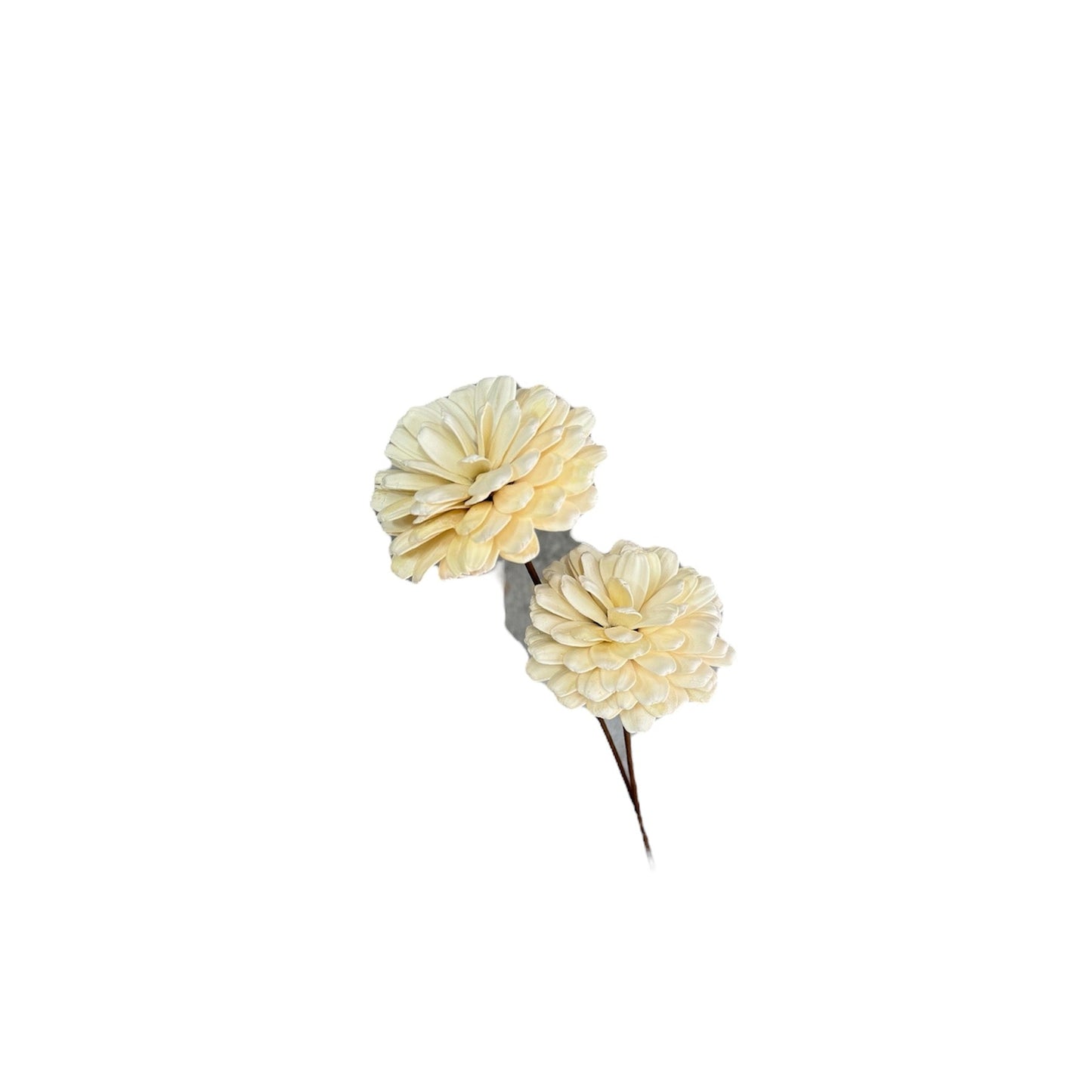 Sola Magnolia White