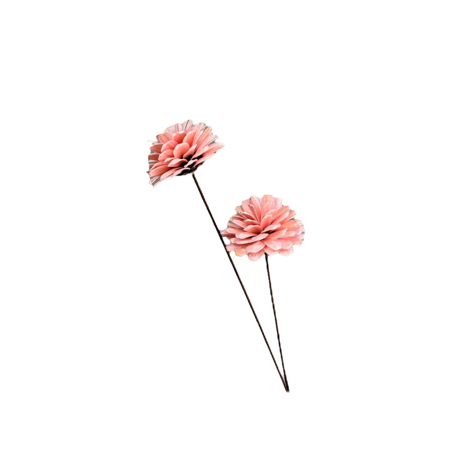 Sola Magnolia Pink