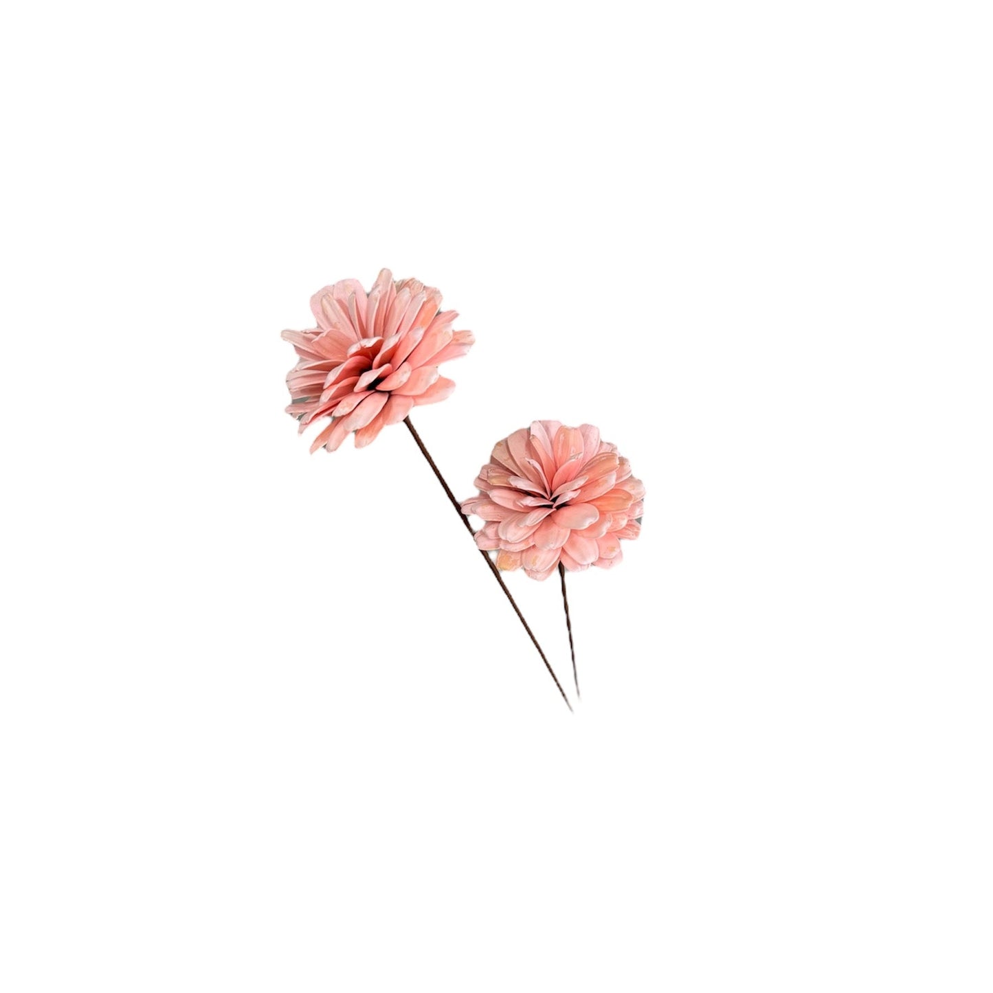 Sola Magnolia Pink
