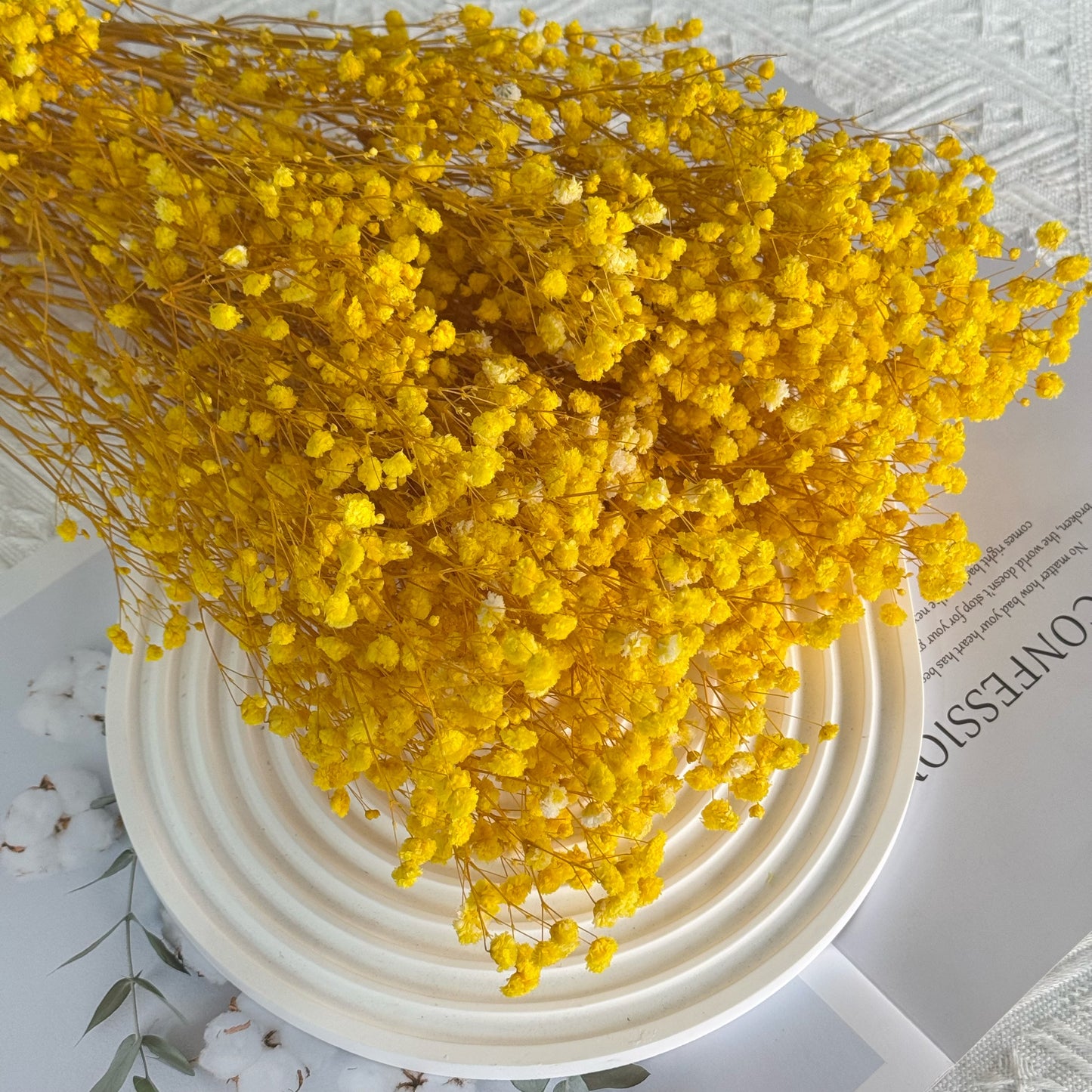 Preserved Baby's Breath