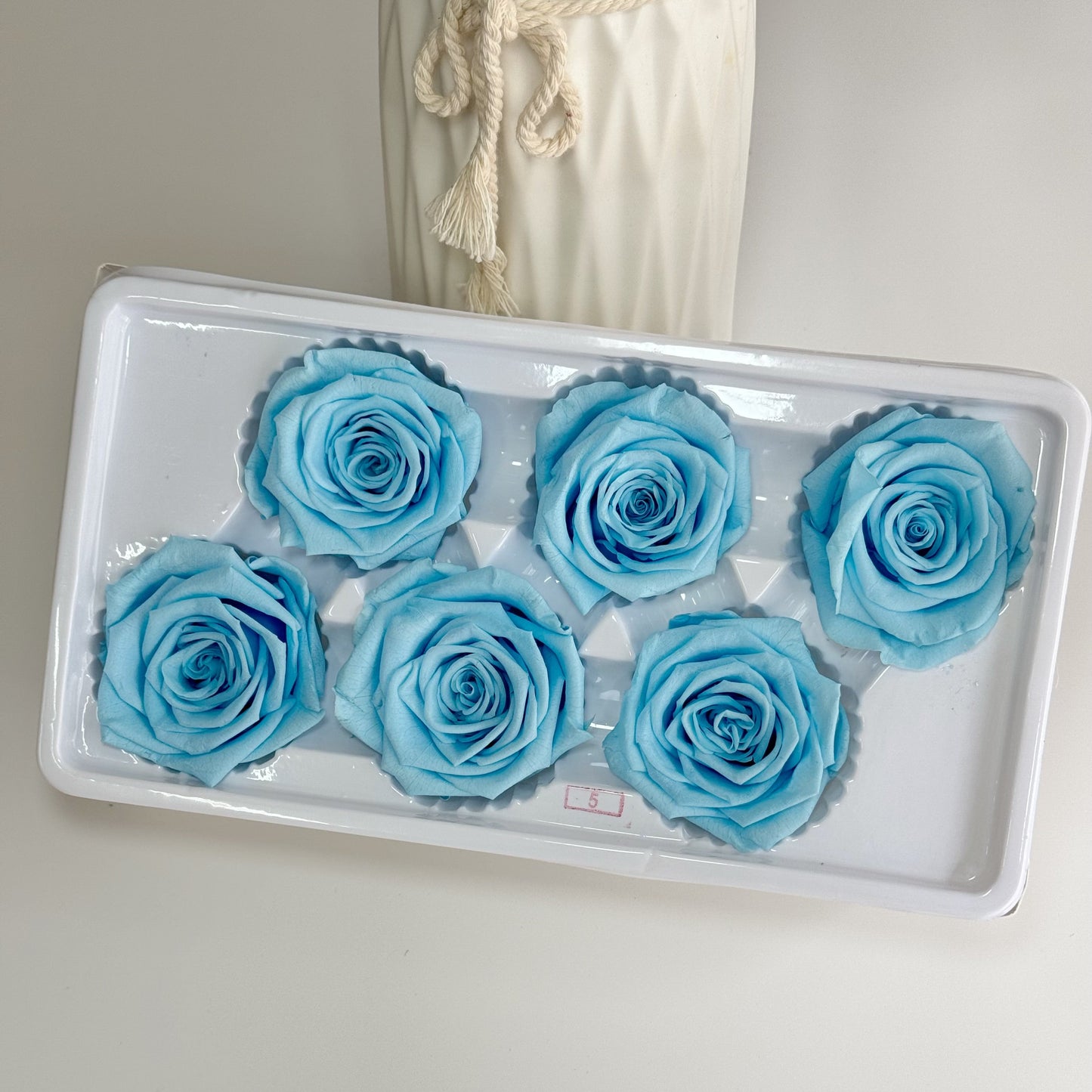 Preserved Rose Head