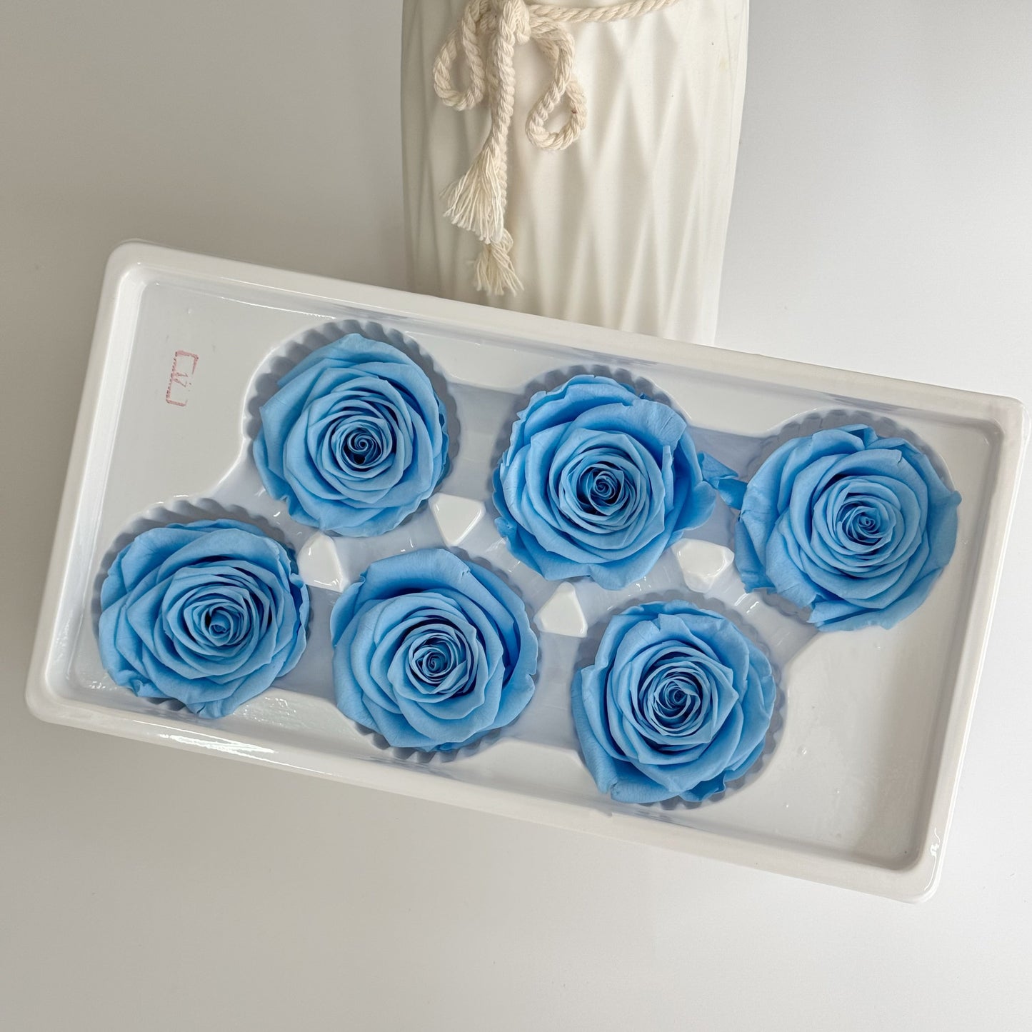 Preserved Rose Head