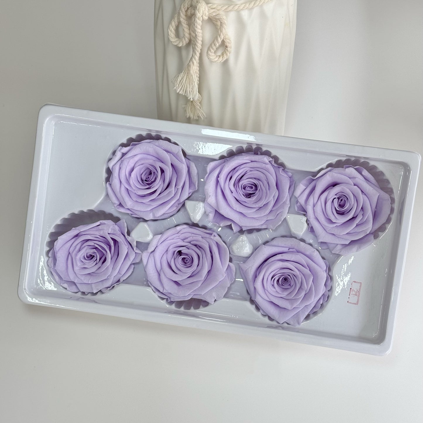 Preserved Rose Head