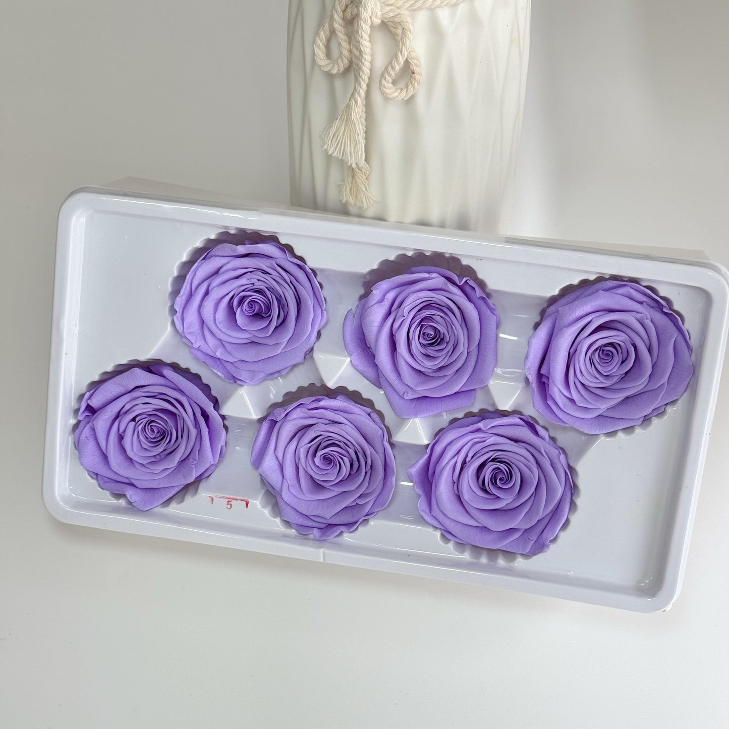 Preserved Rose Head