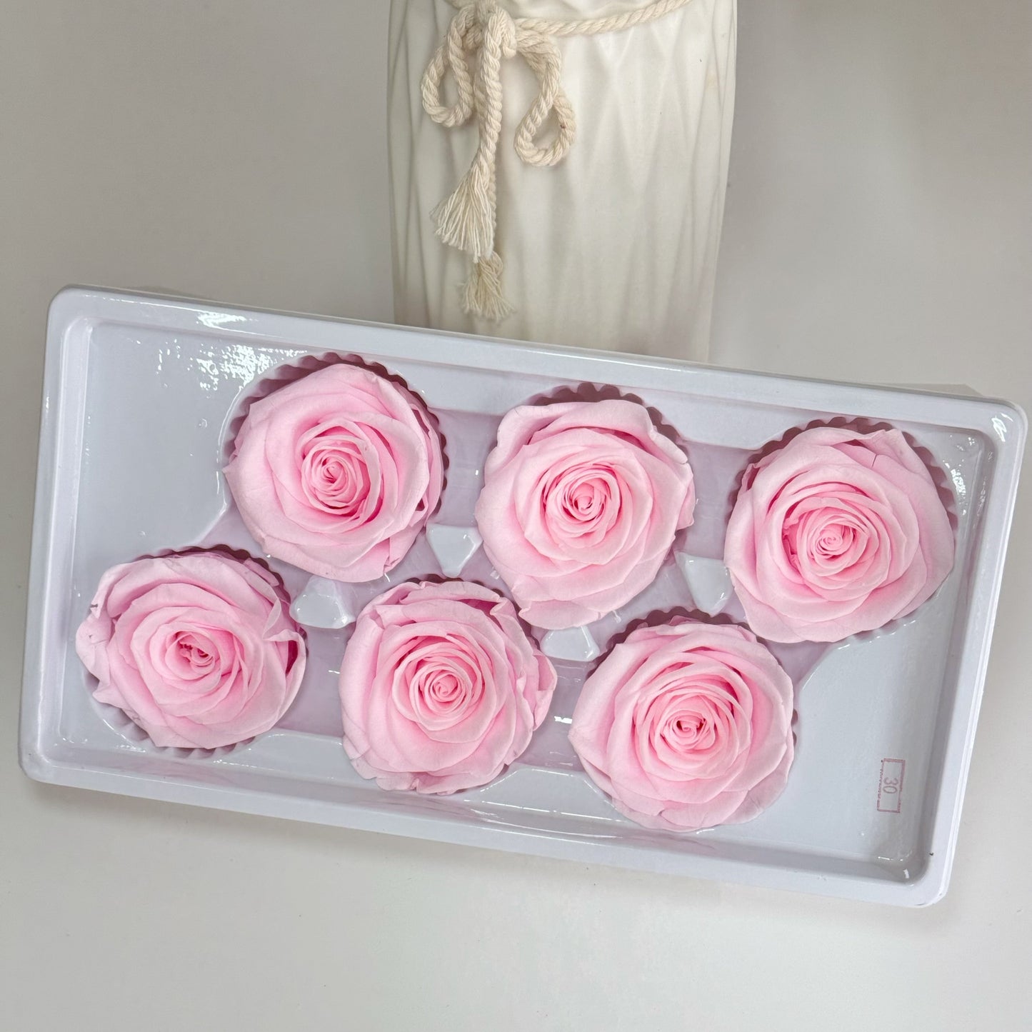 Preserved Rose Head