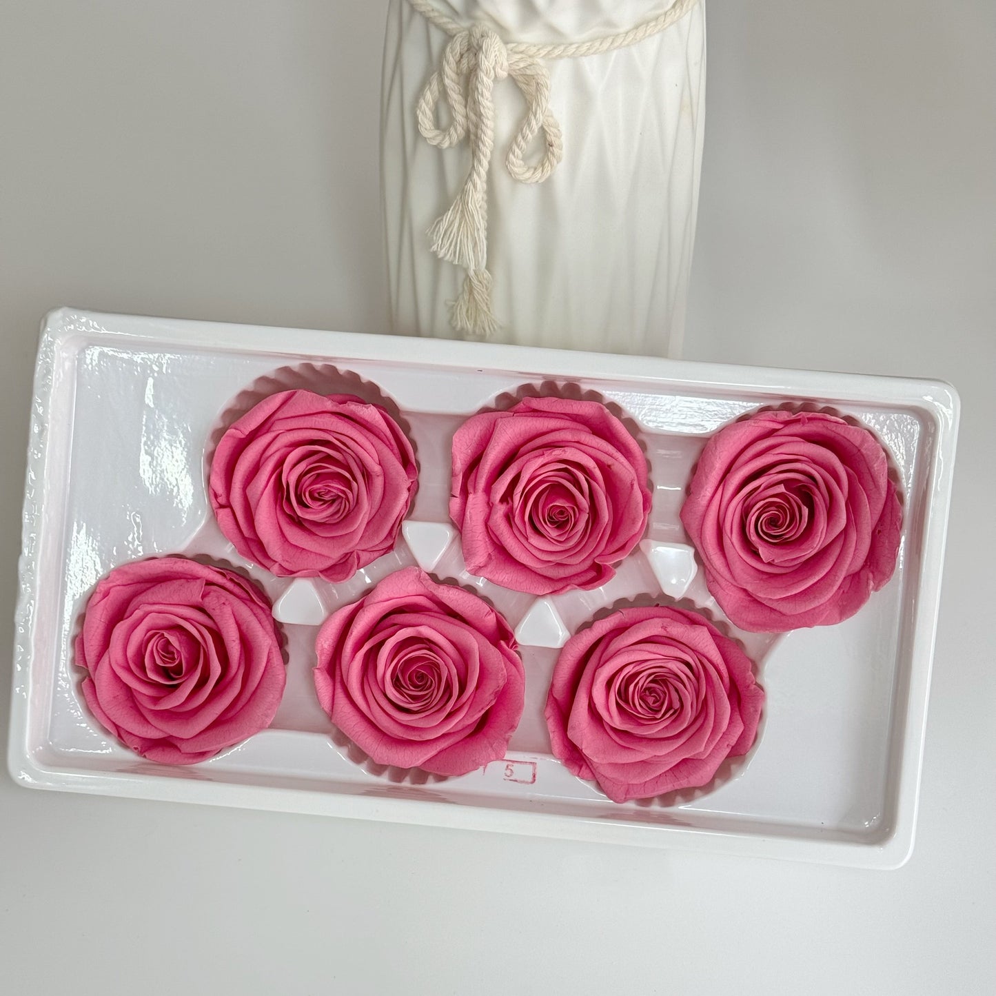 Preserved Rose Head