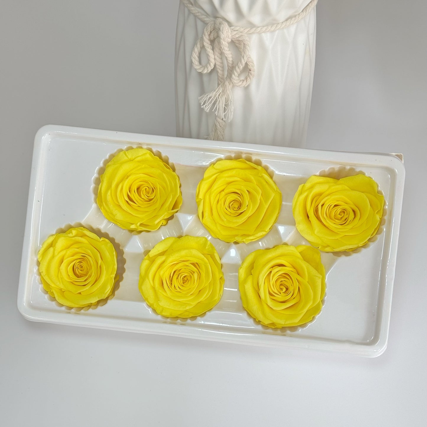 Preserved Rose Head