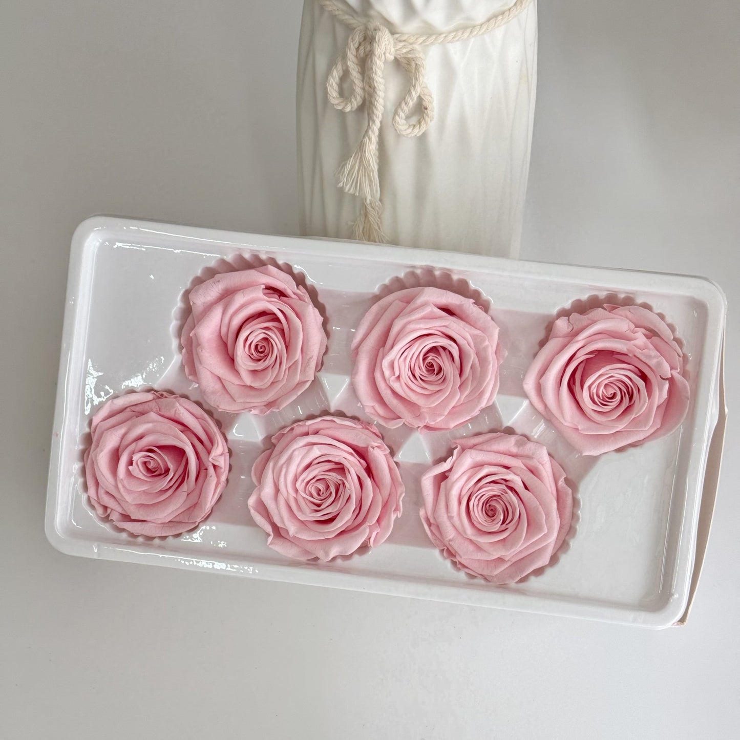 Preserved Rose Head