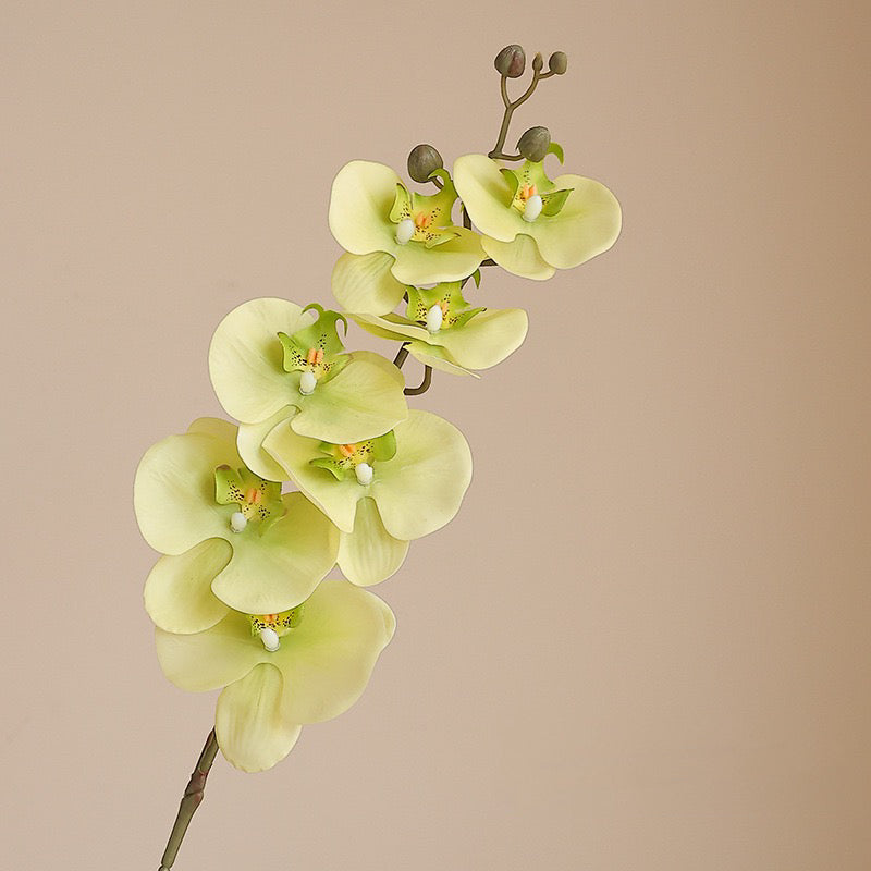 Artificial Orchid
