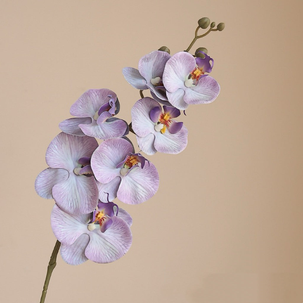 Artificial Orchid