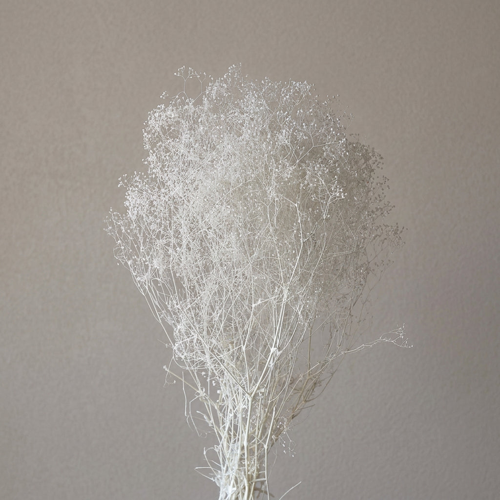Million-Star Baby's Breath
