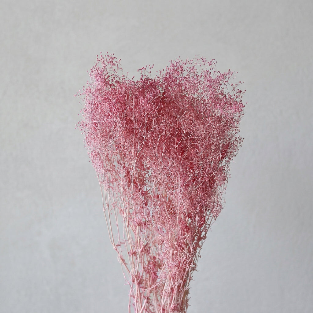 Million-Star Baby's Breath