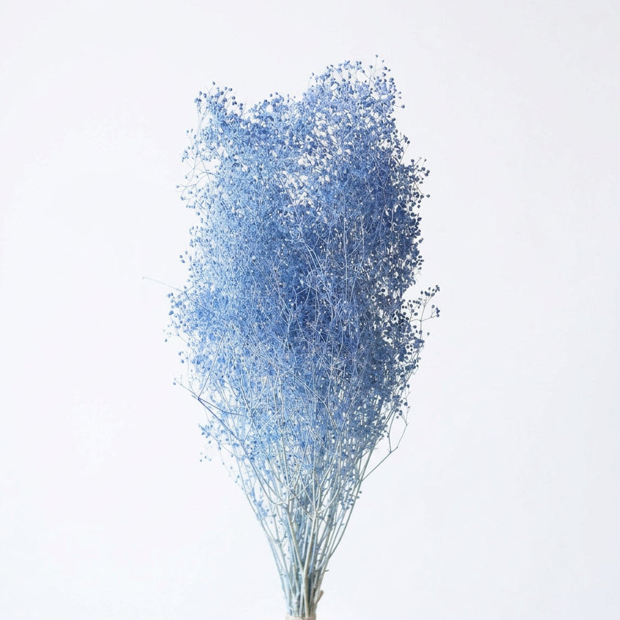 Million-Star Baby's Breath