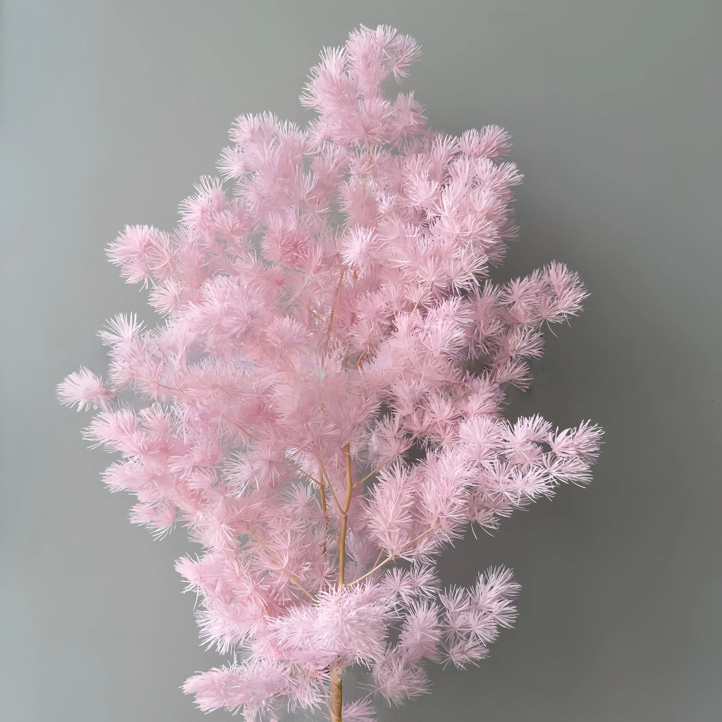 Ming Fern Light Pink