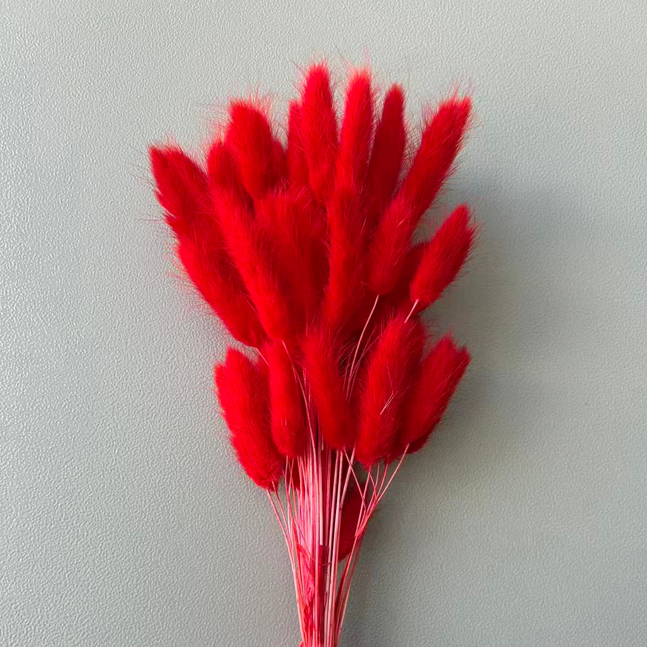 Bunny Tail Red