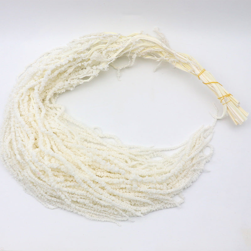 Preserved Amaranthus
