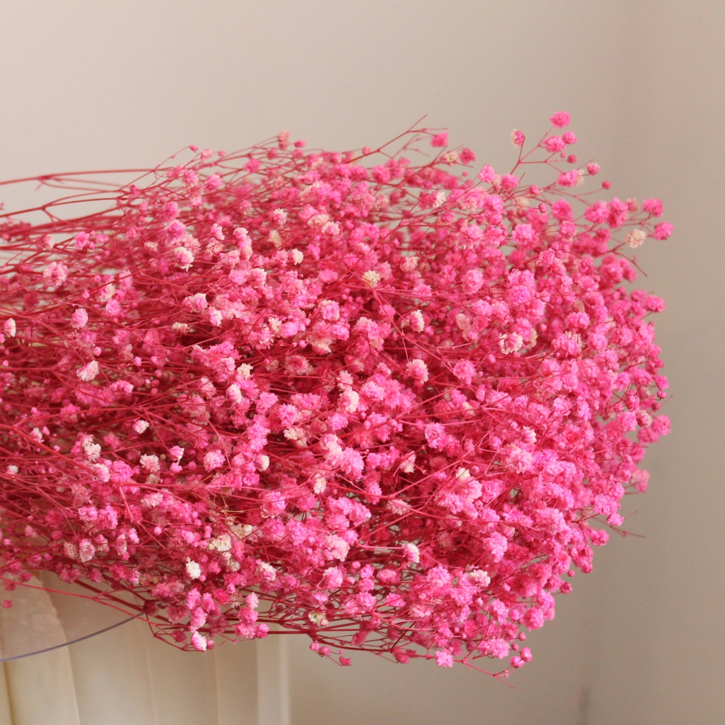 Baby's Breath Hot Pink Dried Flower