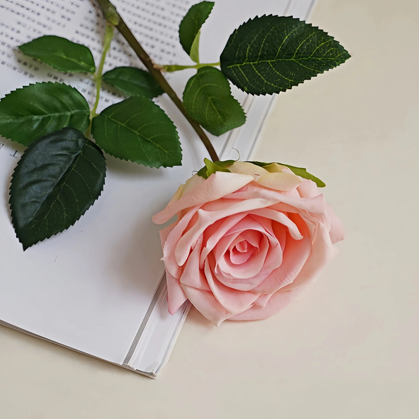 Pink rose with green leaves on an open book