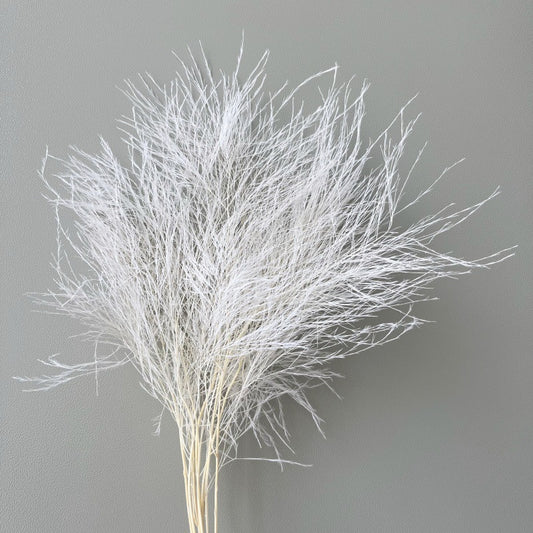 Tiki Fern White