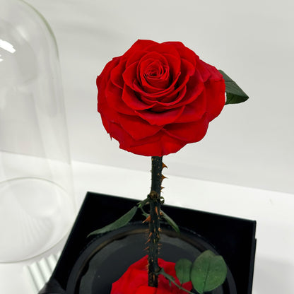 Large Single Stem Rose Dome Red