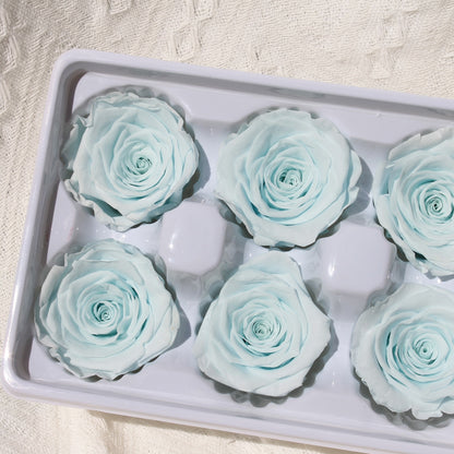 Preserved Rose Baby Blue