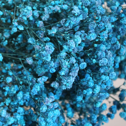 Baby's Breath Teal Blue