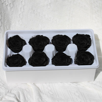 Preserved Roses Black