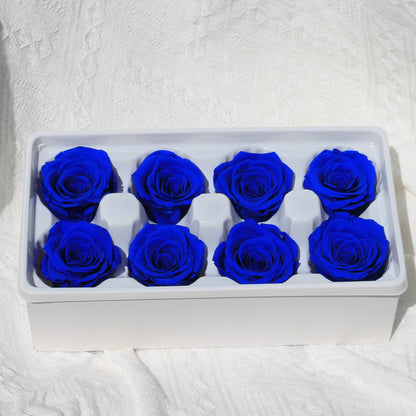 Preserved Rose Royal Blue