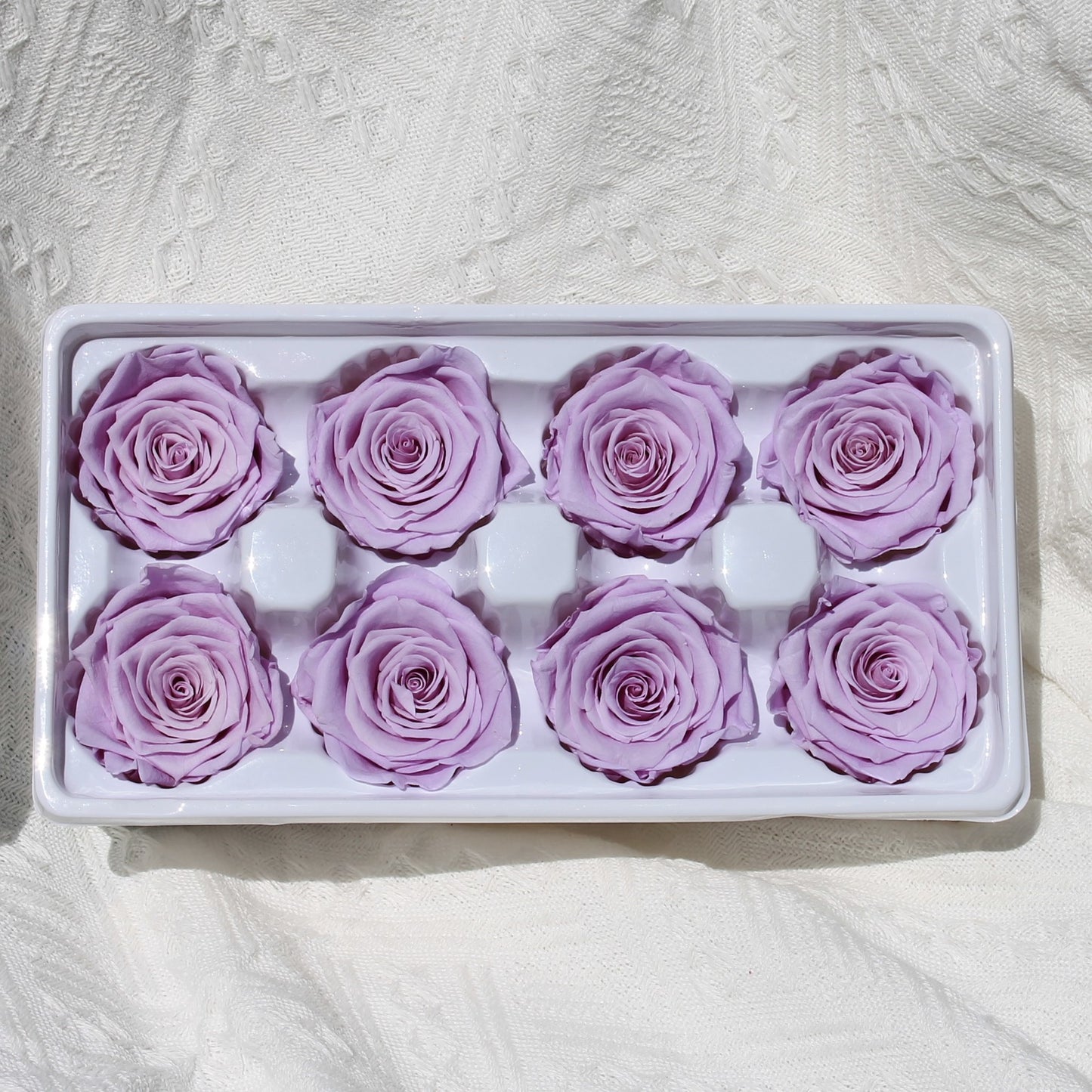 Preserved Rose Violet